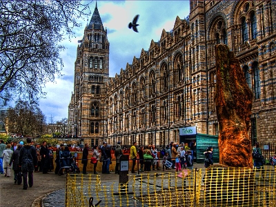 london-natural-history-museum